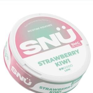 SNU Strawberry Kiwi Nic Pouches by Bar Juice